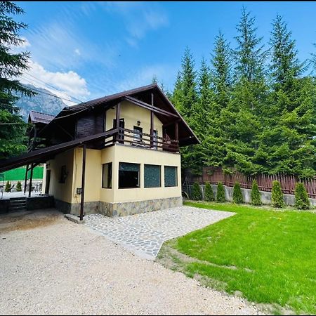 Ollie'S Mountain Chalet Buşteni 外观 照片