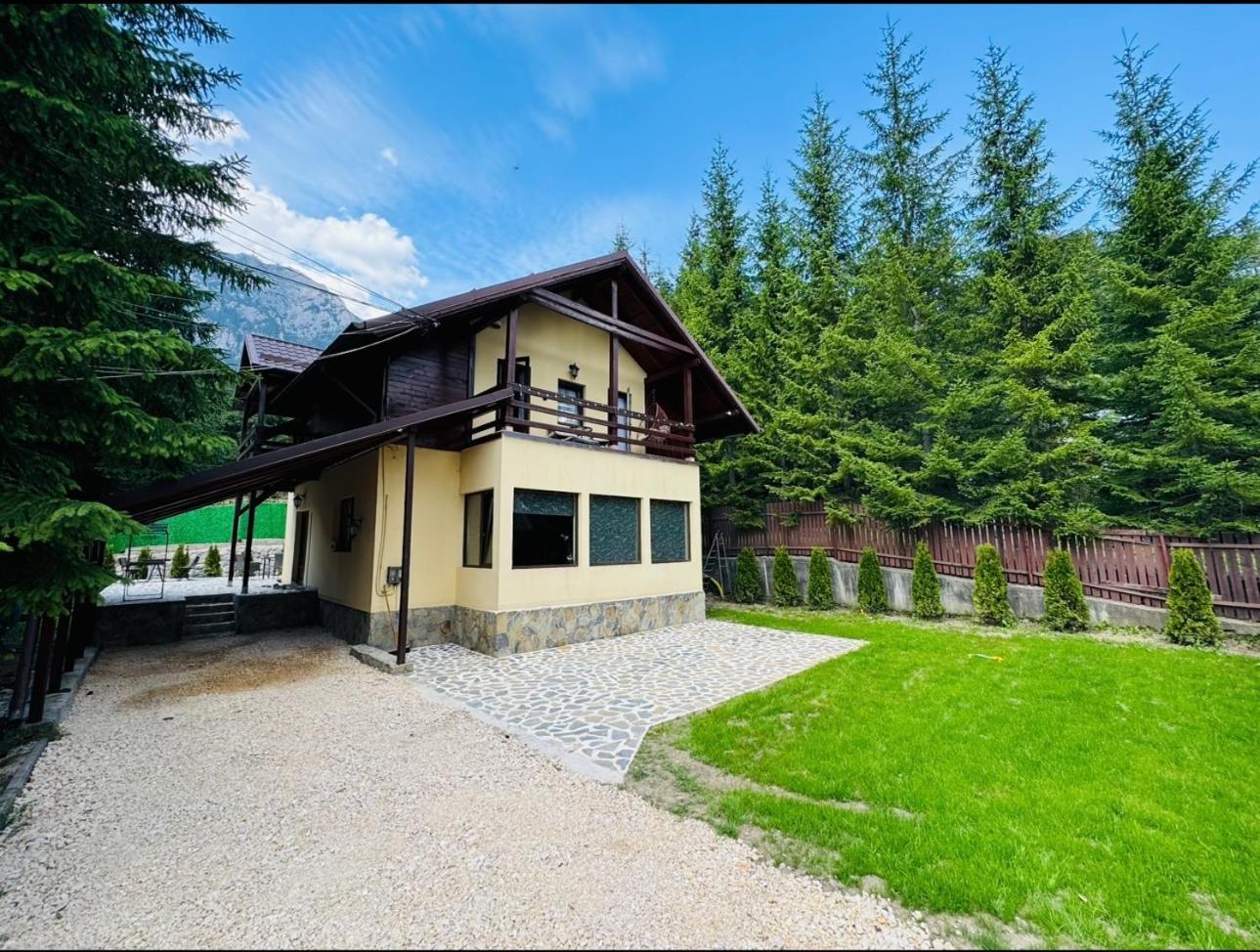 Ollie'S Mountain Chalet Buşteni 外观 照片