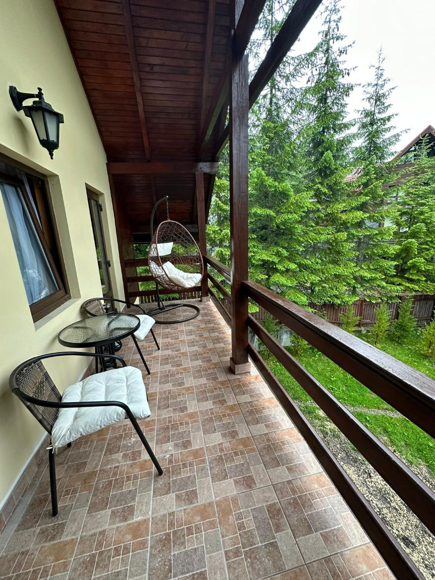 Ollie'S Mountain Chalet Buşteni 外观 照片
