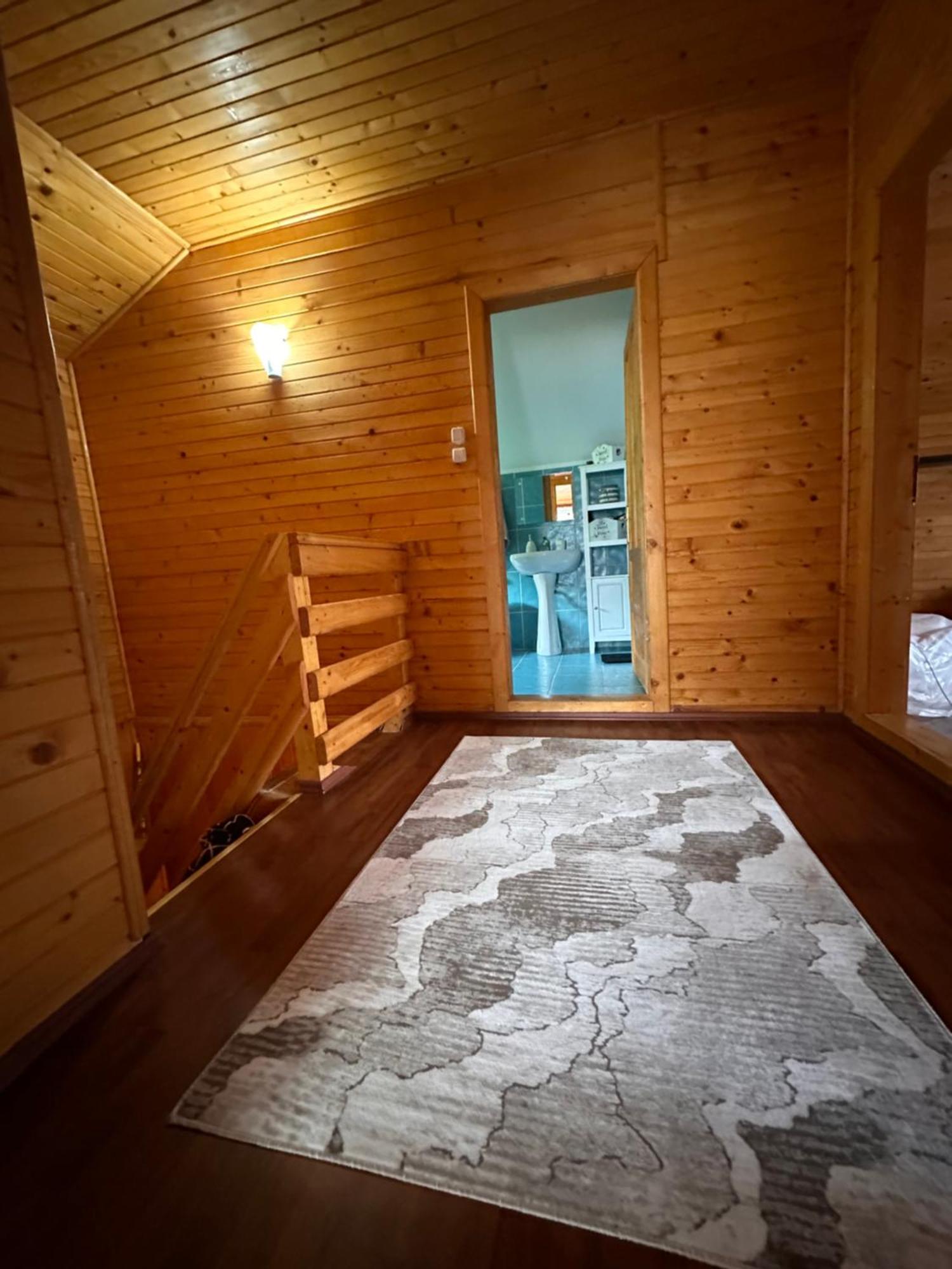 Ollie'S Mountain Chalet Buşteni 外观 照片